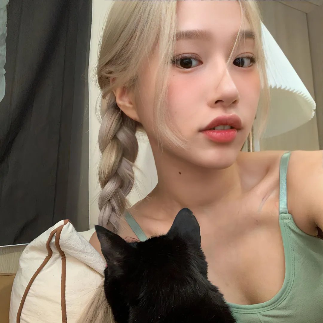 炮灰
